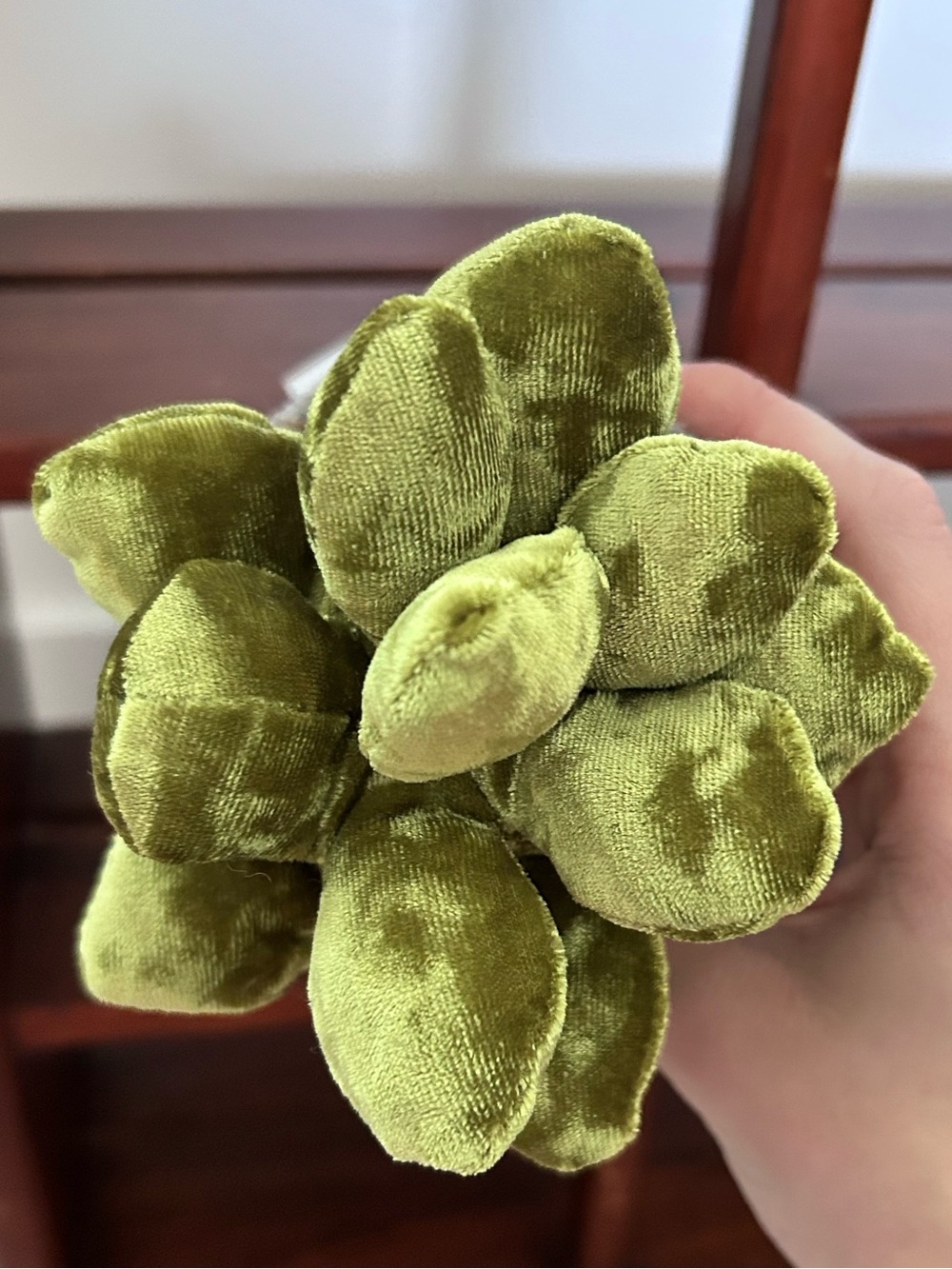 Jellycat Amuseables Retired Silly Succulent Jade plush toy - Picture 5 of 9